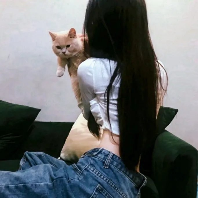 教父